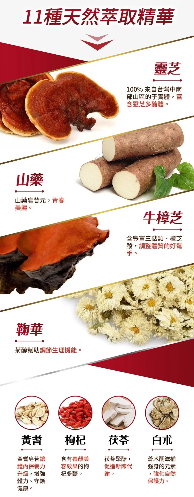 沈博士沛多元100粒 成分與天然萃取精華介紹圖 綜合維他命日常營養補充 健康之星嚴選